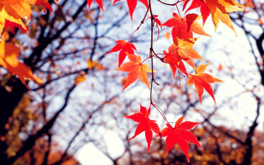 1718941 (a): :2880x1800